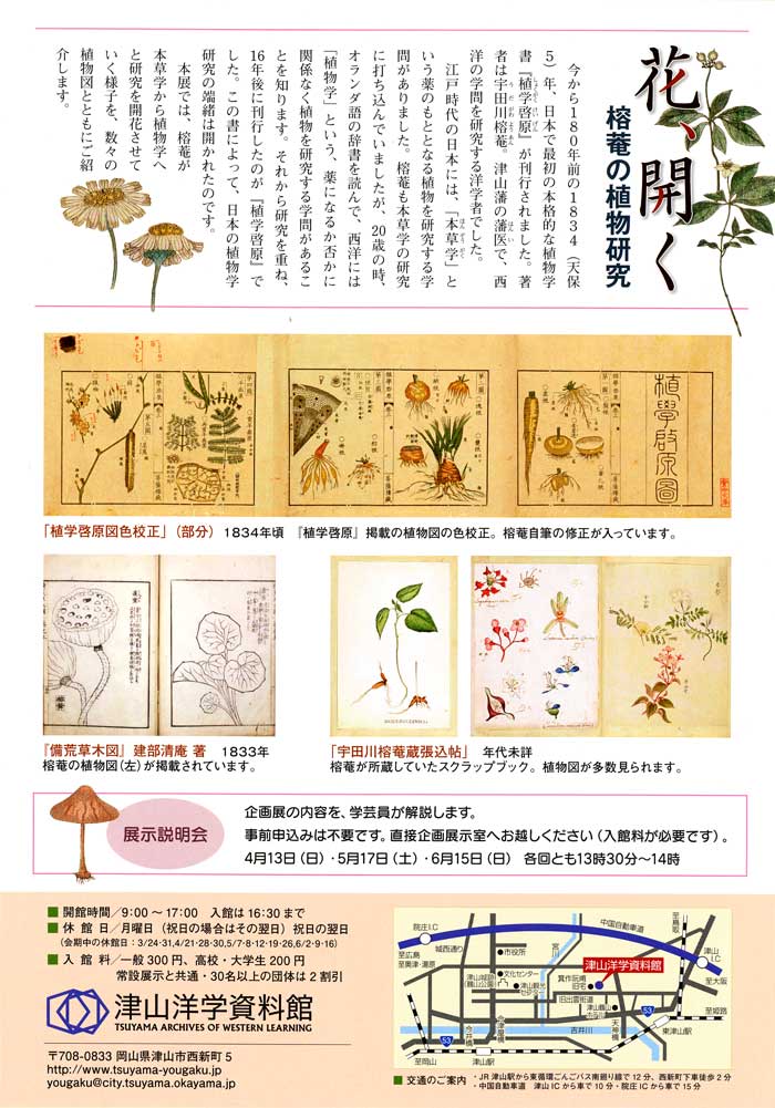 榕菴の植物研究