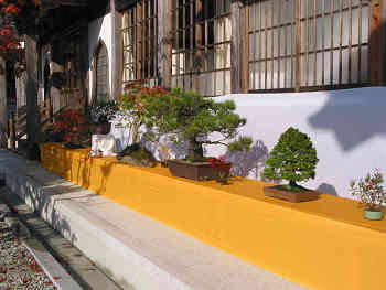 紅葉染まる夢中山幻住寺
