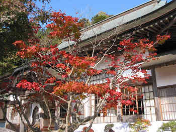 紅葉染まる夢中山幻住寺