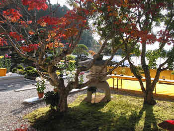 紅葉染まる夢中山幻住寺