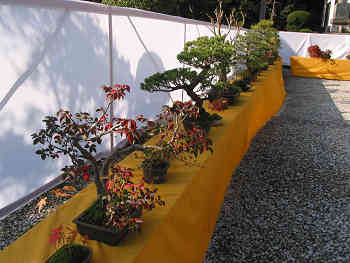 紅葉染まる夢中山幻住寺
