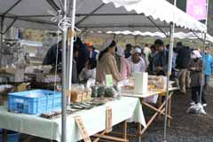 尾所の桜まつり