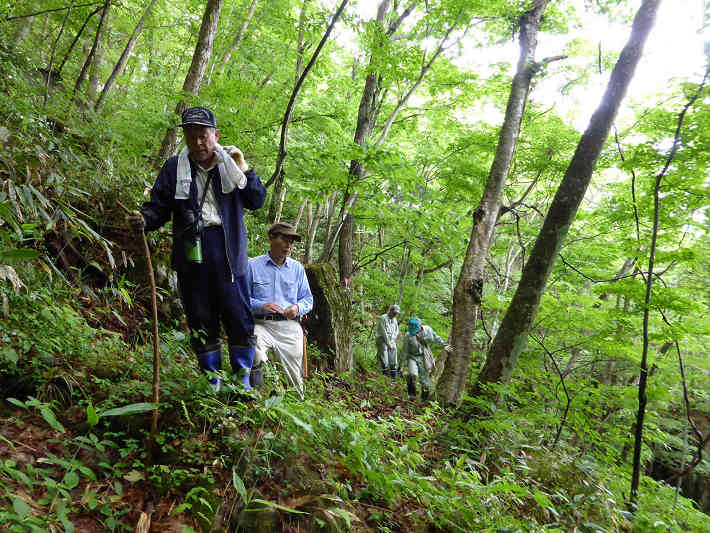大ヶ山周辺