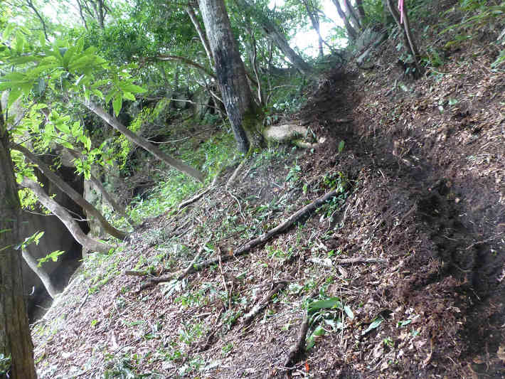 大ヶ山周辺