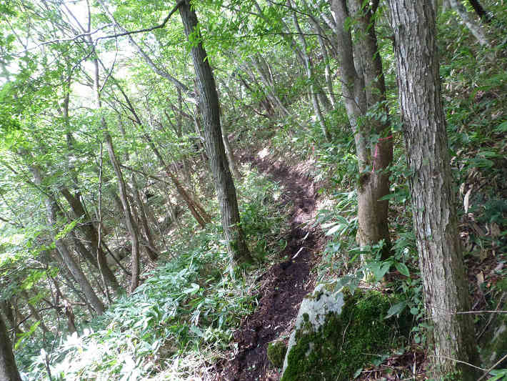 大ヶ山周辺