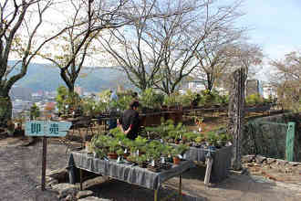 ��������