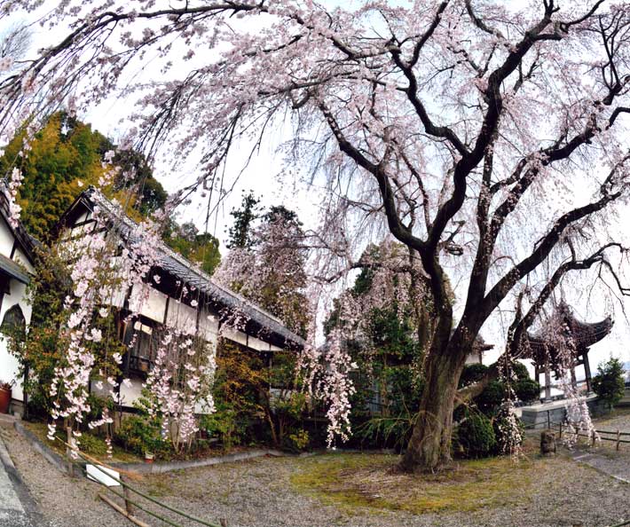 城東むかし町