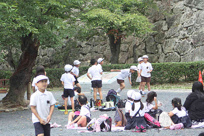 津山城のあじさい