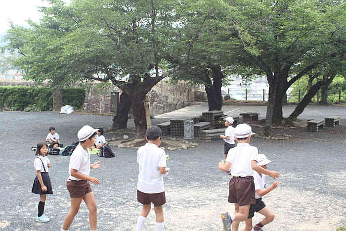 津山城のあじさい