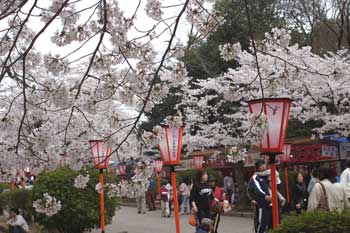 �ÎR������܂�