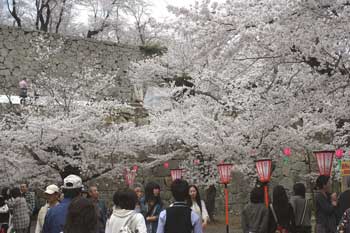 �ÎR������܂�