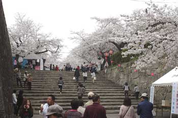 �ÎR������܂�