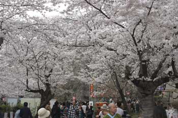 �ÎR������܂�