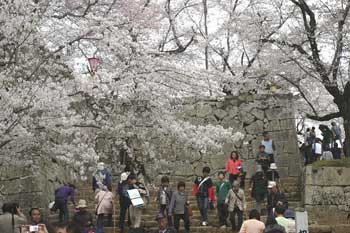 �ÎR������܂�