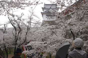 �ÎR������܂�