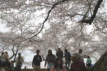 �ÎR������܂�