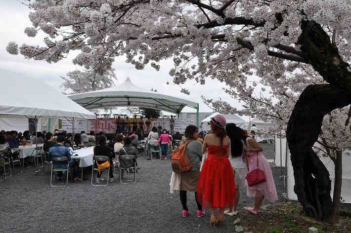 津山さくらまつり