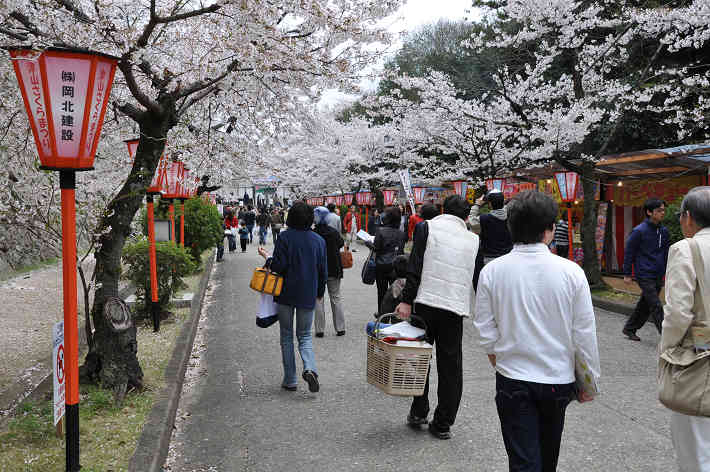 津山さくらまつり