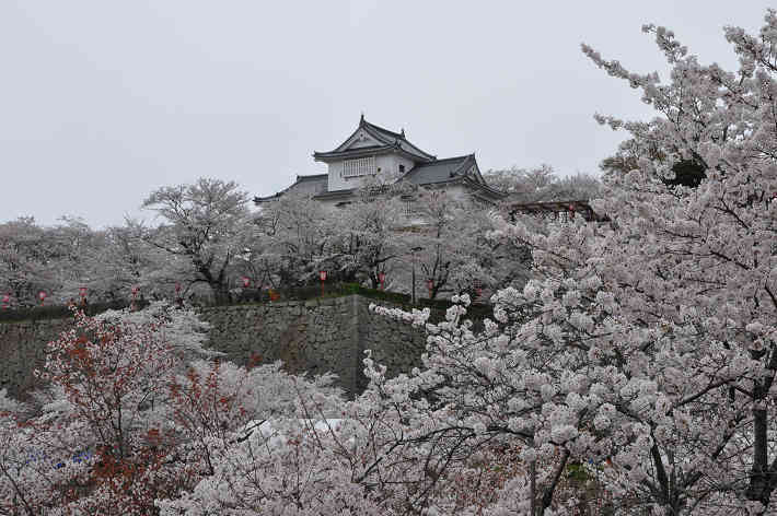 津山さくらまつり