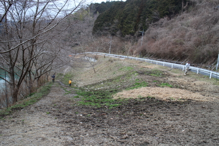 ダム放牧地の回収作業