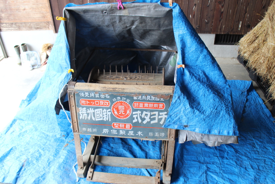 麦漕ぎの時期
