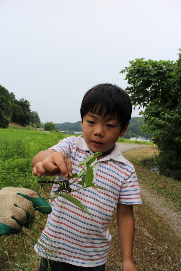 岳志、夏の探検