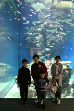 ANAX
