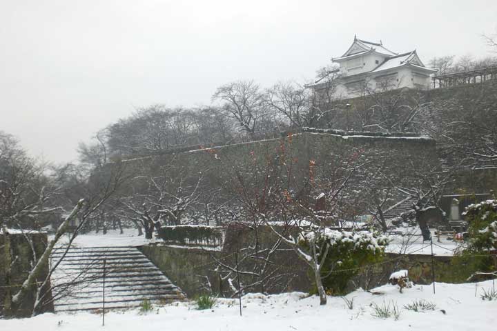 津山城、衆楽園の雪景色